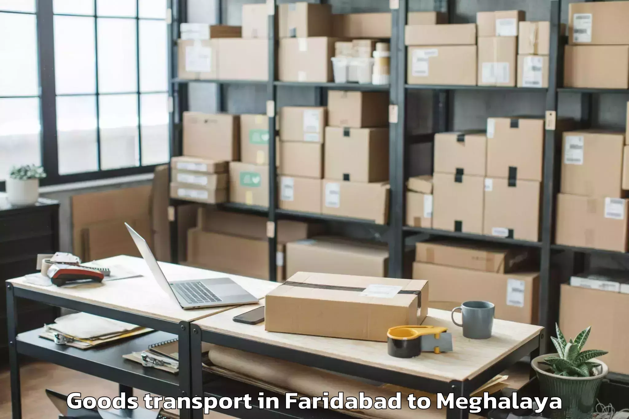 Professional Faridabad to Ampati Goods Transport